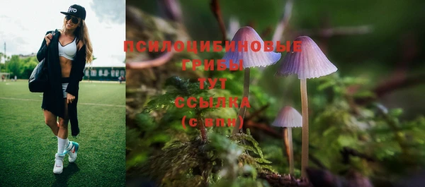 бошки Абинск