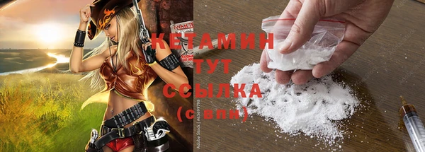 прущие крисы Абаза