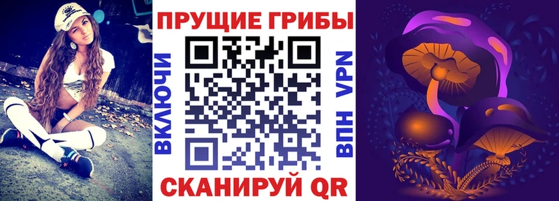 Псилоцибиновые грибы ЛСД  хочу наркоту  Ак-Довурак 